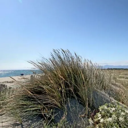 Maison Jardin Wifi - Climatisation - 100 M Plage Sauvage - 20 Min Perpignan Torreilles Exterior foto