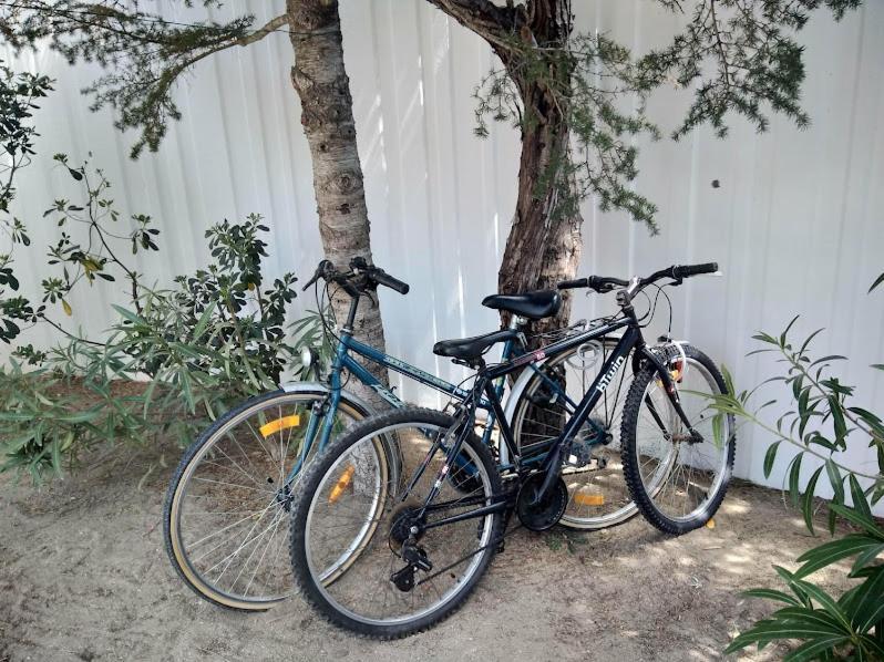 Maison Jardin Wifi - Climatisation - 100 M Sauvage - 20 Min Perpignan * Torreilles